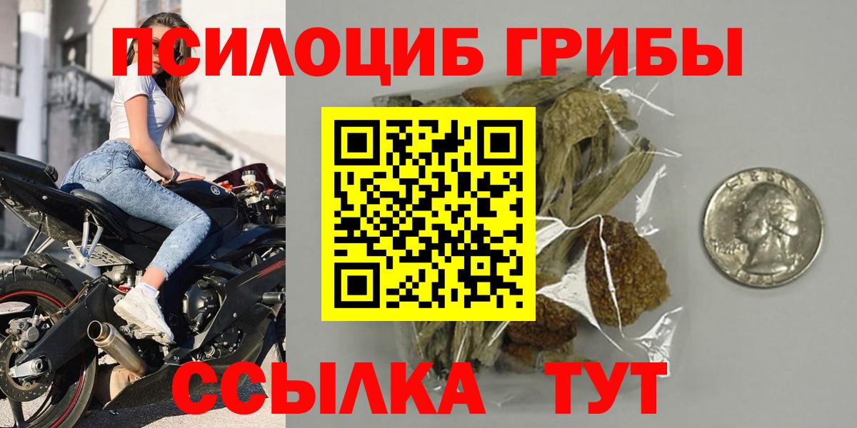 Галлюциногенные грибы Psilocybe  купить   Вход с VPN  Строитель  Галлюциногенные грибы мицелий 